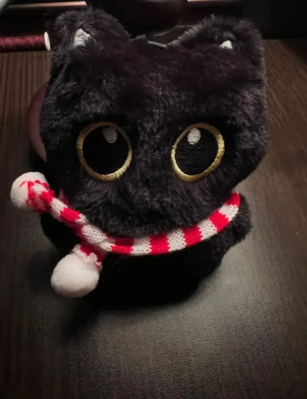 Gatito con bufanda roja