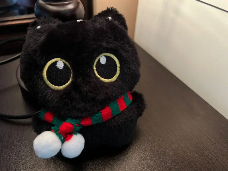 Gatito con bufanda verde