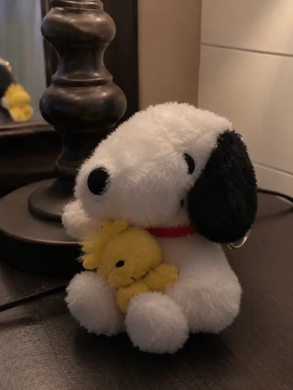 Snoopy con Woodstock 